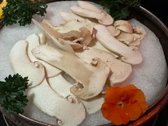 -芸山季·云南野生菌火锅(人民广场来福士店)