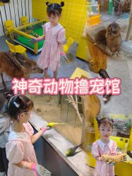 点击看大图 -神奇动物撸宠馆·羊驼·小浣熊·异宠(豫园店)