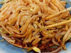 素米皮-西安五号米皮