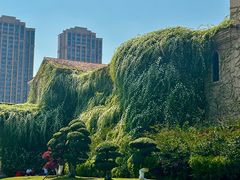 -府河摄影公园