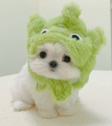 -Oasis Beauty水磨坊科技美肤中心