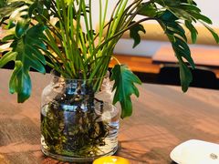 澳白-Seesaw Coffee(上海尚悦湾店)