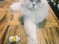 -小时光咖啡馆(开森度假森林店)
