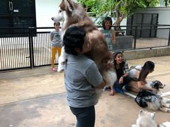 -TrueLove @ Neverland (Husky Cafe)