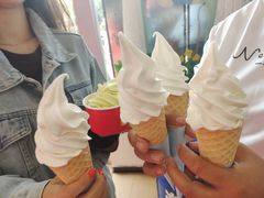 -萨朗刀克冰淇淋雪花凉(植物园店)