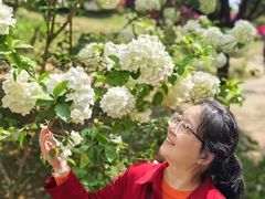 -铁山坪森林公园