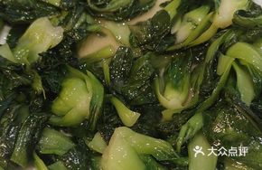 Seasonal Vegetables from the Countryside