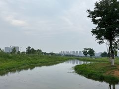 -洋湖国家湿地公园