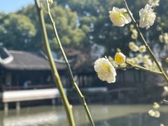-北寺塔