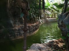 -龙达温泉生态城