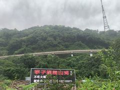 -李子坝梁山鸡(李子坝大鸡哥店)