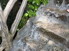 -秦岭终南山世界地质公园翠华山景区