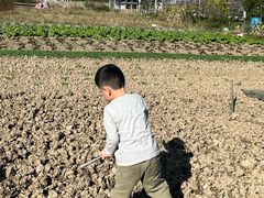 -谷子里田园生态餐厅(七都店)