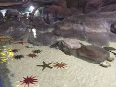 -福州罗源湾海洋世界旅游区