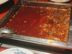 -二荆条·蜀鲜汇城市森林火锅