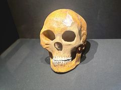 -上海崧泽遗址博物馆