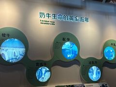 -君乐宝优致牧场