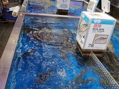 -盒马X会员店(王府井奥莱UP TOWN店)
