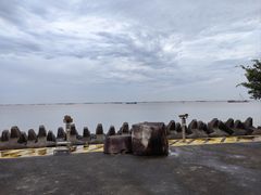-上海滨江森林公园