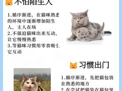 -申普宠物医院·眼科·心内科·影像科(普陀分院)
