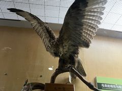 -陕西自然博物馆