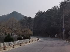 -金龙寺国家森林公园