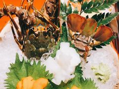 -初花·日本料理