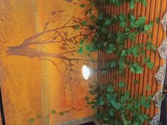 -木卡买提新疆餐厅·清真(新里海顿公馆店)
