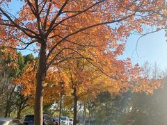 -东华大学(松江校区)