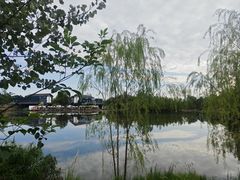 -白鹭湾湿地公园