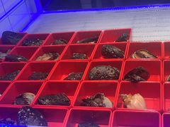 -朱富贵火锅(金融街万达店)