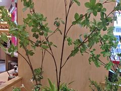 -华记煲仔华·煲仔饭(三元里万科里店)