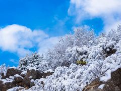 -兔儿山