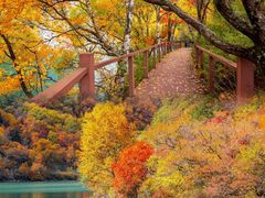 -叠溪松坪沟景区