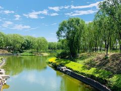 -大兴滨河森林公园