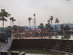 -枫香湖儿童公园