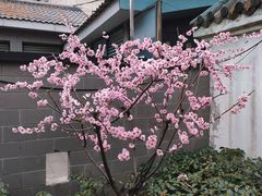 -郑和公园