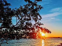 -宝安西湾红树林湿地公园