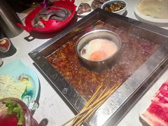 -二荆条·蜀鲜汇城市森林火锅