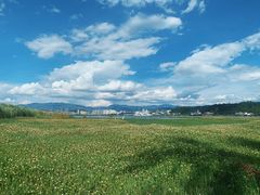 -洱海月湿地公园