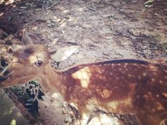 -西安秦岭野生动物园