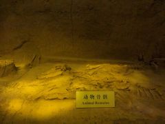 -汉景帝阳陵博物院