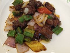 -骏莱海鲜鱼港(五角场店)
