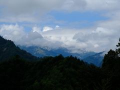 -黑河国家森林公园