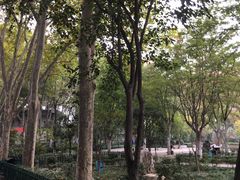 -西安市长乐公园