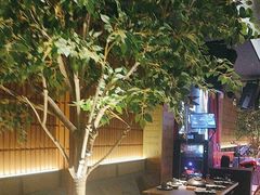 -同仁四季椰子鸡(海岸城天利店)