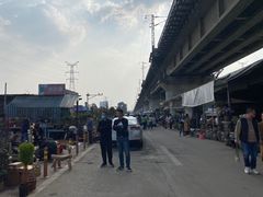 -三圣花乡旅游区