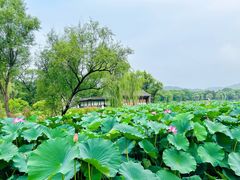 -承德避暑山庄景区
