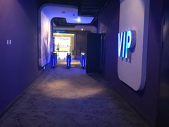 -幸福蓝海国际影城(河西店)
