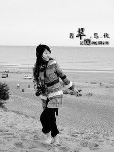 -翡翠岛